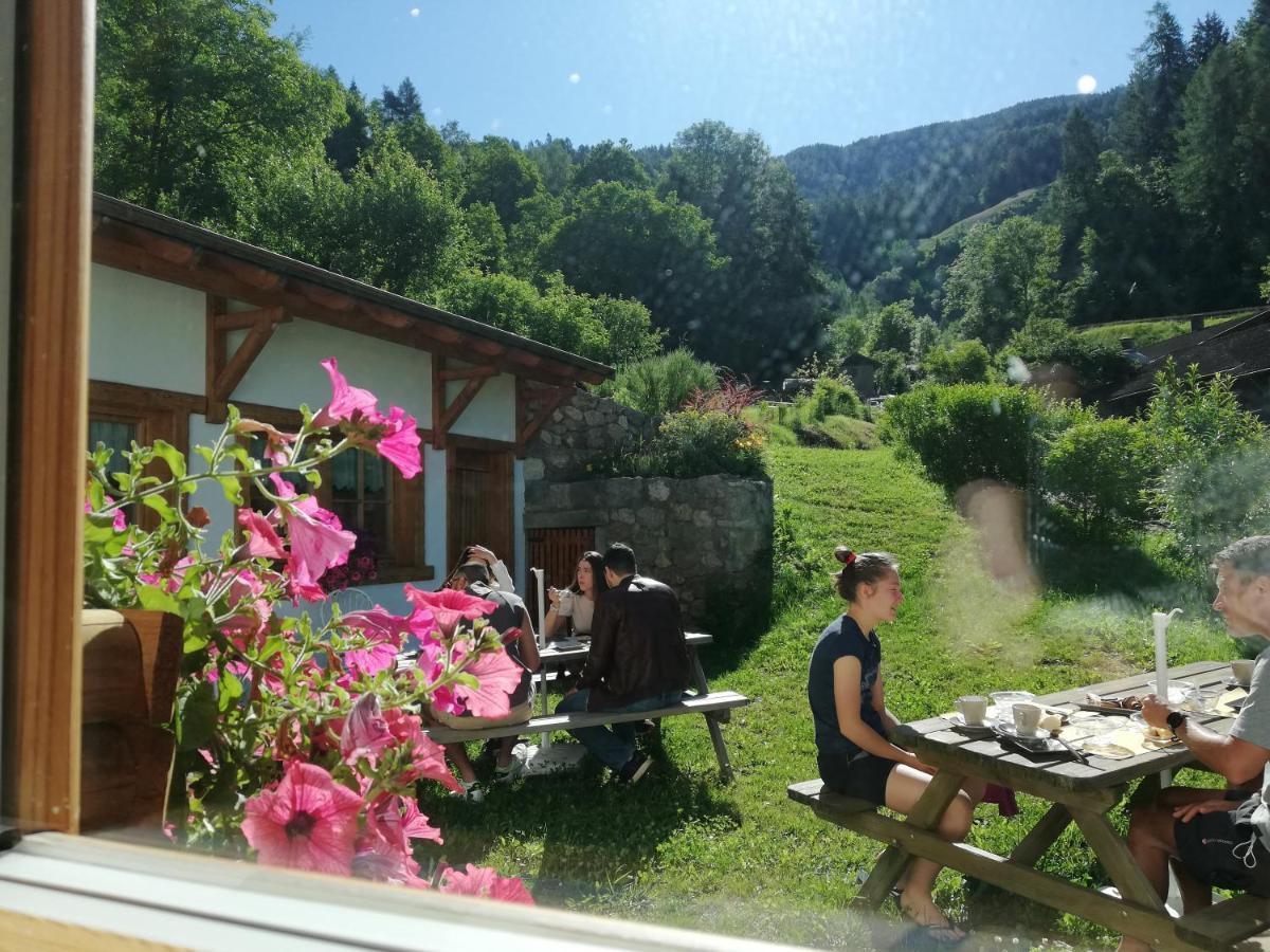 Giustino Agriturismo Dalla Natura La Salute المظهر الخارجي الصورة