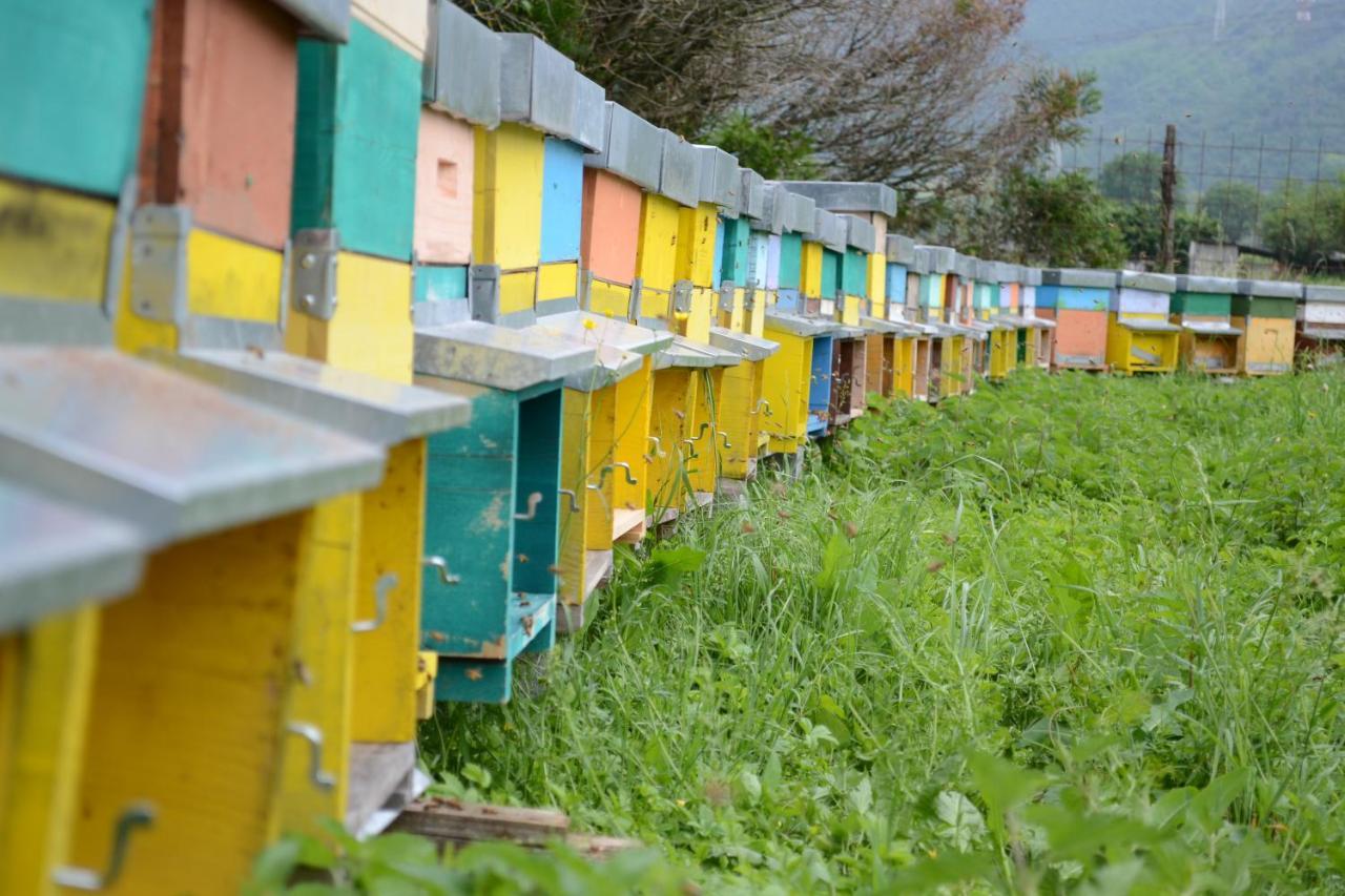 Giustino Agriturismo Dalla Natura La Salute المظهر الخارجي الصورة