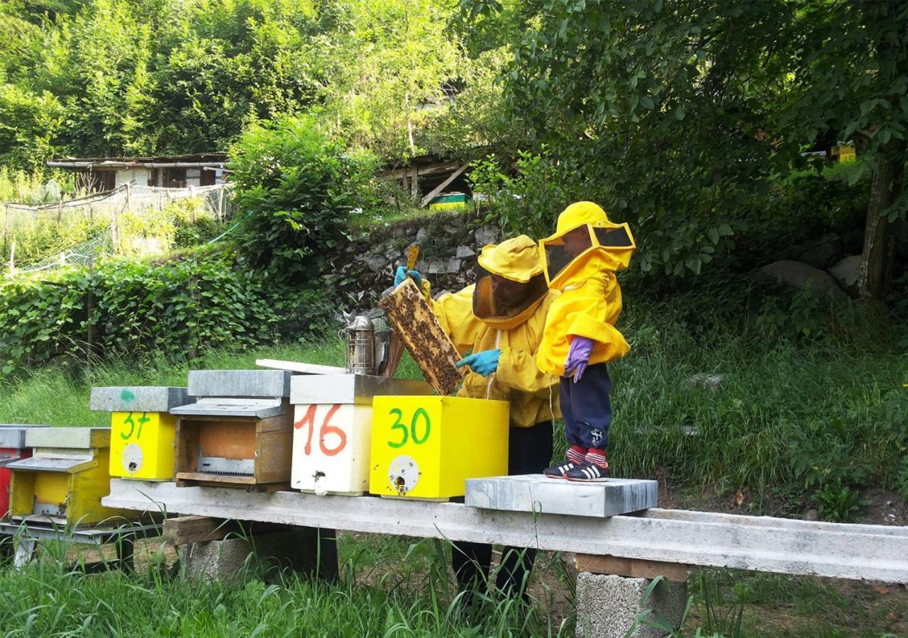 Giustino Agriturismo Dalla Natura La Salute المظهر الخارجي الصورة